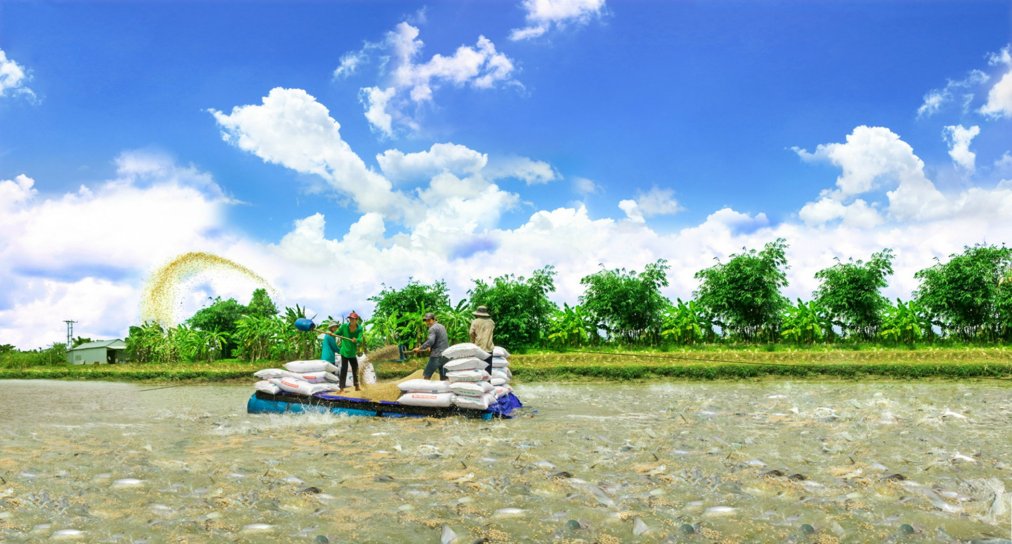//anseafood.com.vn/files/images/banner/z3320085060781_167a40823a88899e427e0c012210e8c4.jpg