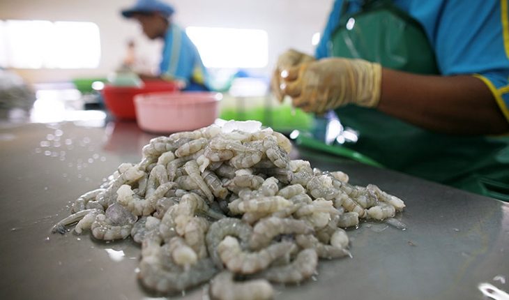 Overcoming non-tariff barriers to expand agricultural and fishery exports to Russia