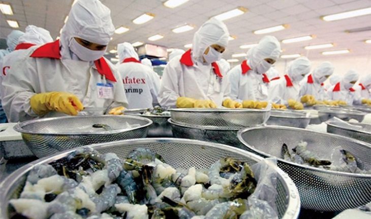 Positive signs of seafood exports in 2022