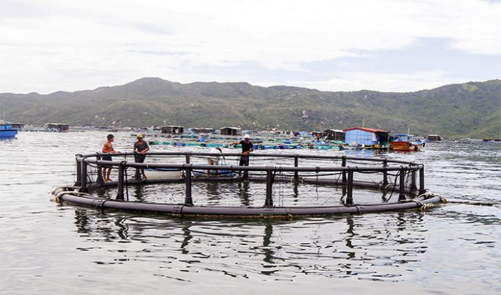 Khánh Hòa: Promoting advantages of marine economy