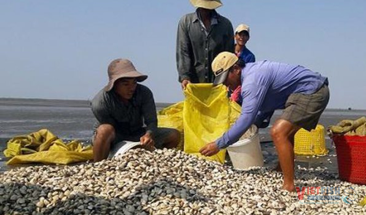 //anseafood.com.vn/files/images/blog/nuoi-ngheu.jpg