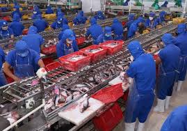 //anseafood.com.vn/files/images/c%C3%A1%20tra.jpg